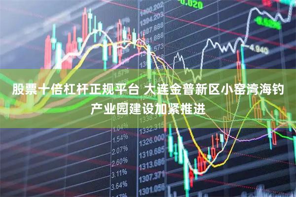 股票十倍杠杆正规平台 大连金普新区小窑湾海钓产业园建设加紧推进